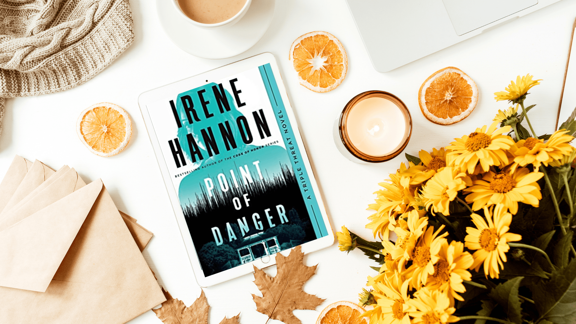 Book Review: Point of Danger by Irene Hannon