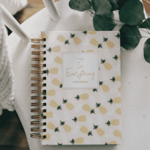 prayer journal with pineapple cover