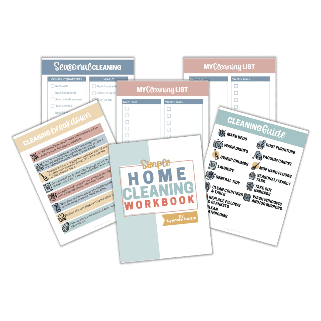 home cleaning system workbook