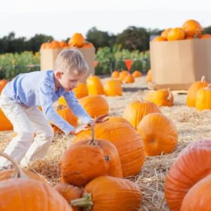 child playing with pumpkins