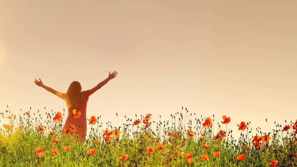 woman in a field of red flowers