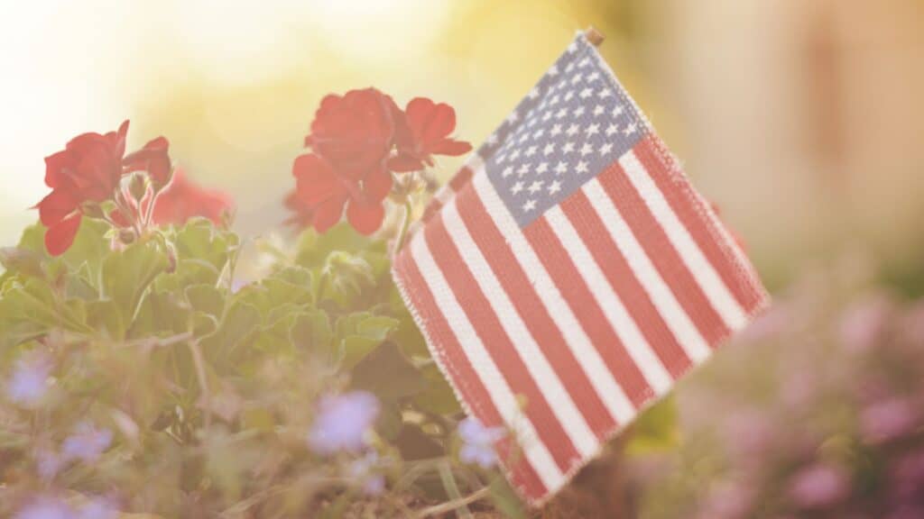 American flag with grass and red flowers