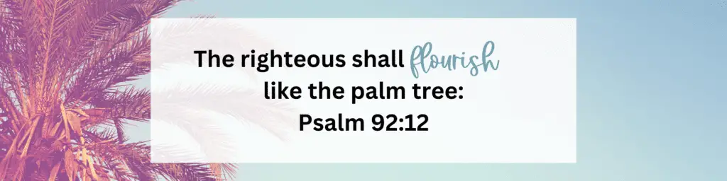 The righteous shall flourish like the palm tree: Psalm 92:12