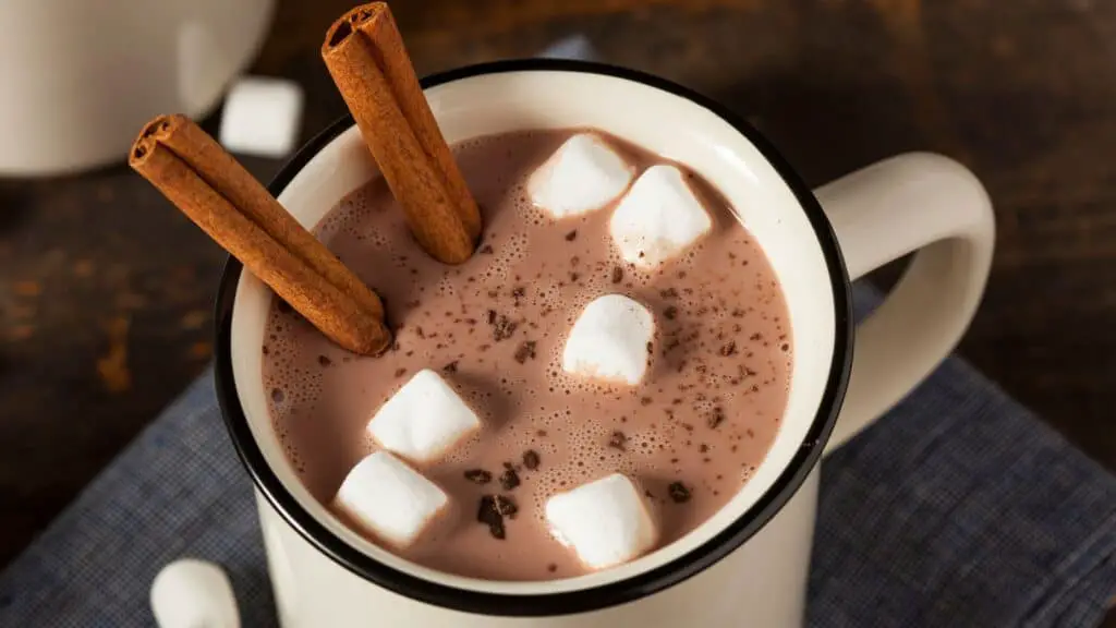cup of hot cocoa with marshmallows and cinnamon sticks