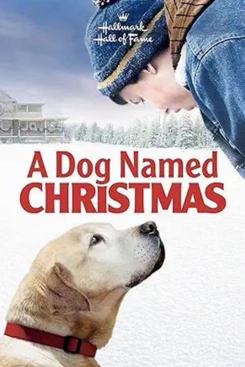 cover image for A Dong Named Christmas