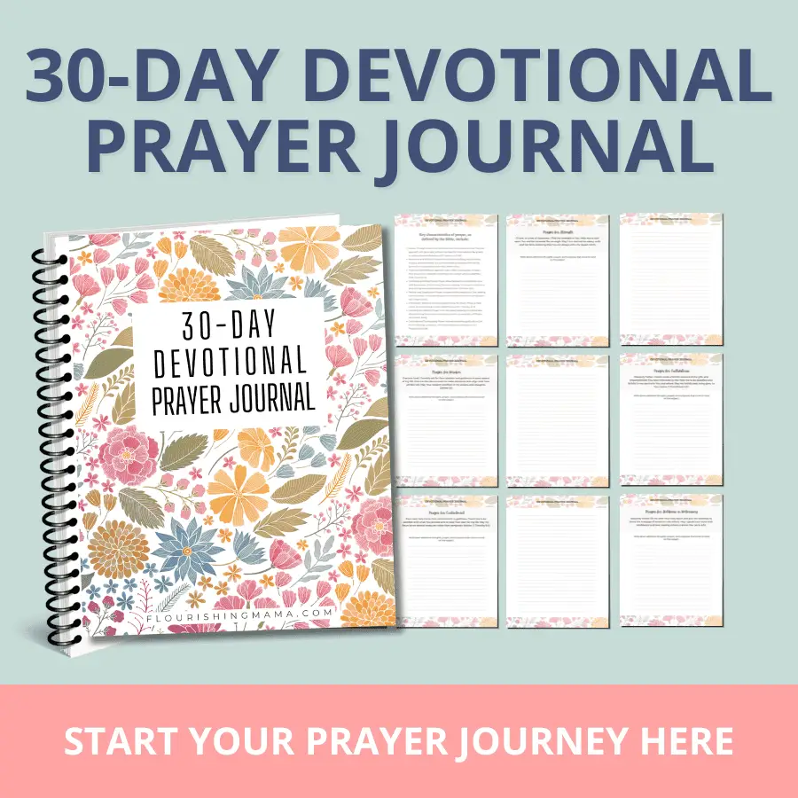 example of 30-Day Devotional Prayer Journal
