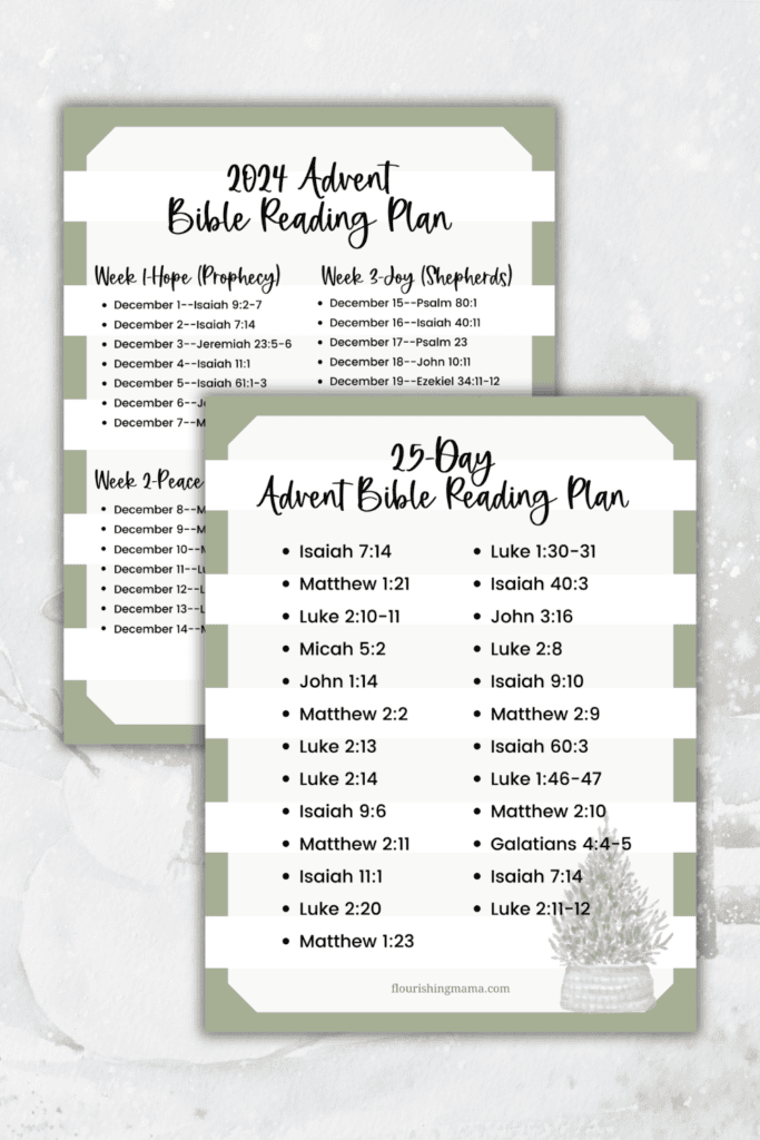 2024 advent bible reading plan