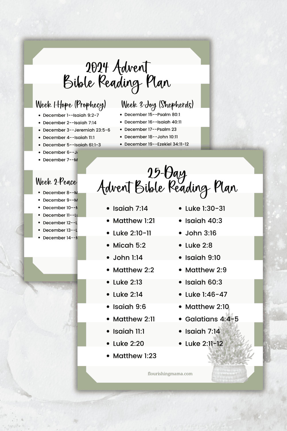 2024 advent bible reading plan