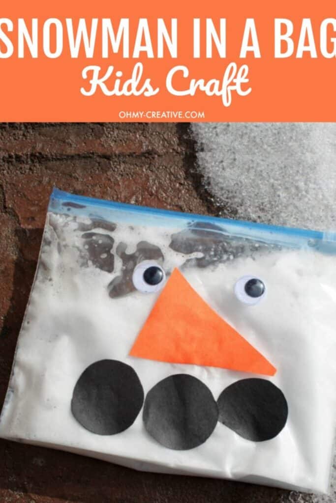 snowman in a bag craft