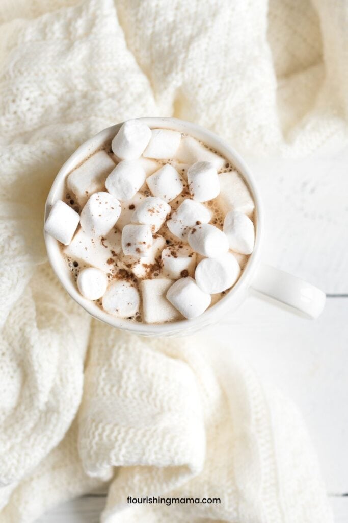 cup of hot cocoa