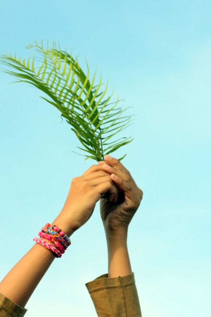children's hands holding a palm branch against a blue sky