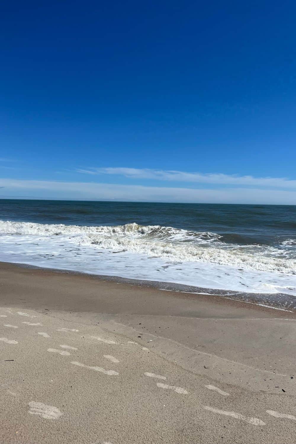 14 Fun Things to Do in Edisto Beach With Your Kids