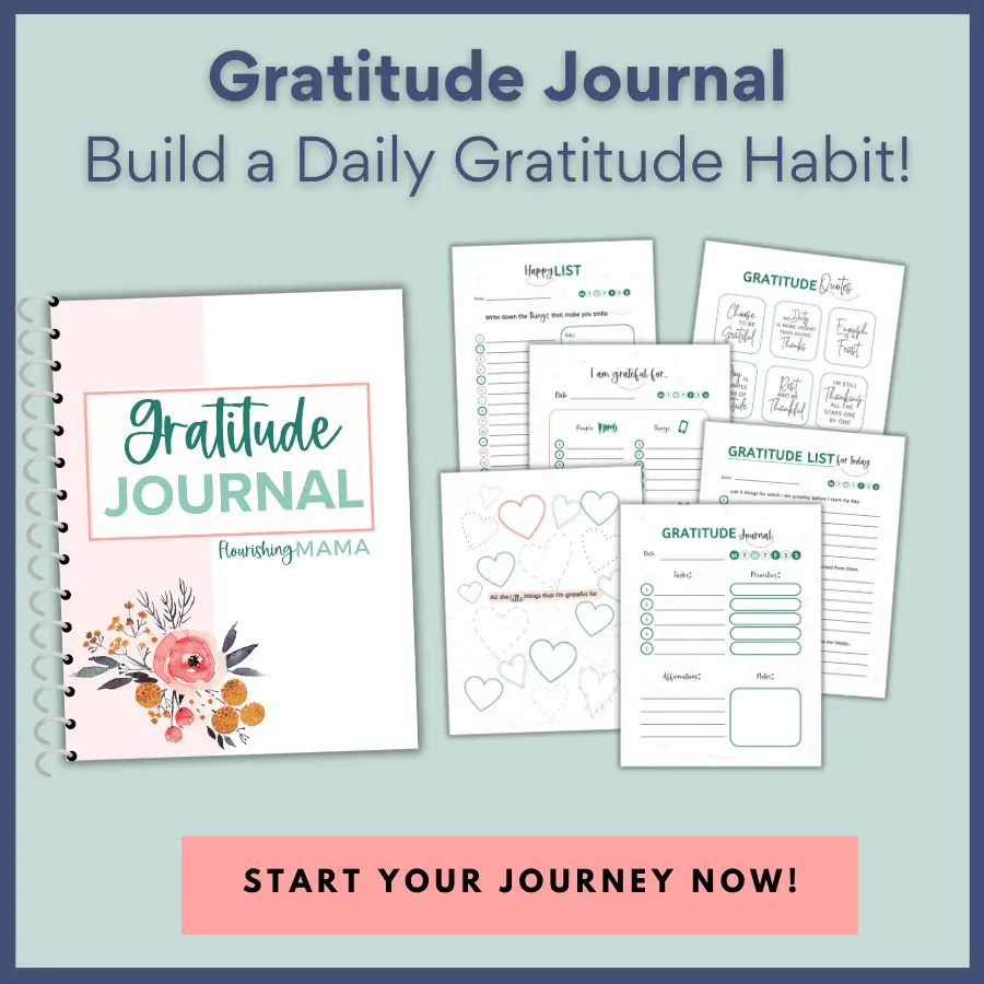 gratitude journal example