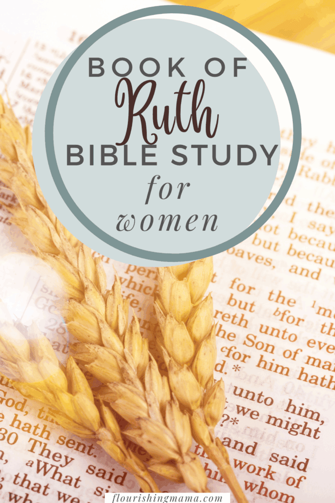 book of ruth bible study