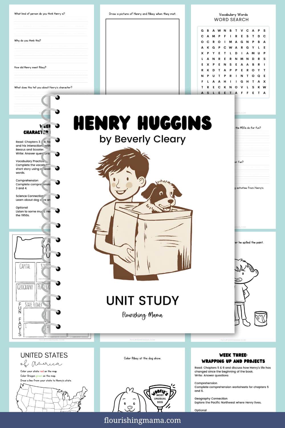 sample of Henry Huggins unit study