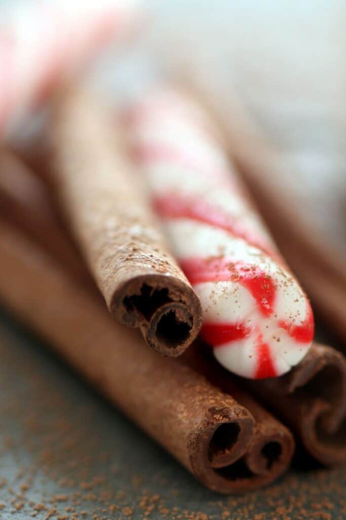 cinnamon sticks and peppermint stick