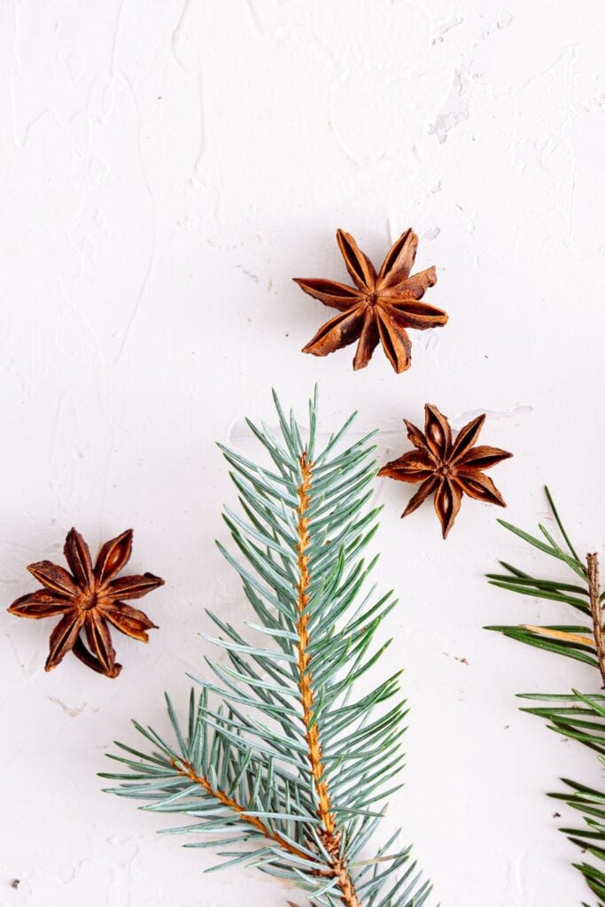 pine leaves and anise seeds