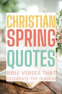 25 Lovely Bible Verses About Spring