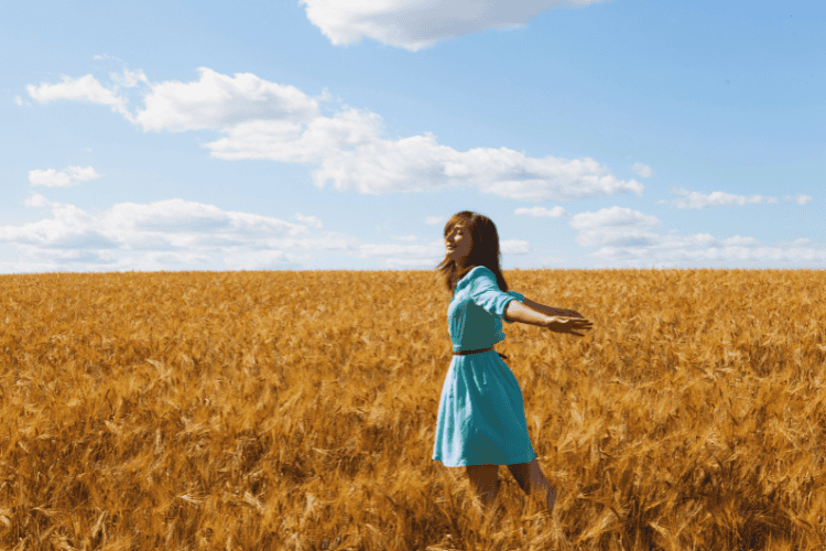 little house on the prairie homemaking