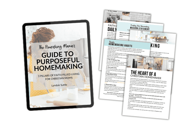 Christian Homemaking Guide