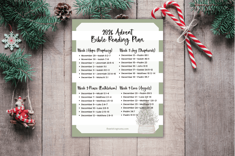 2026 advent bible reading plan