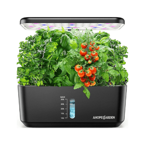 hydroponic garden