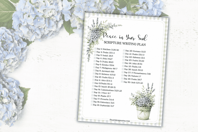 june 2026 scripture writing plan--peace in your soul