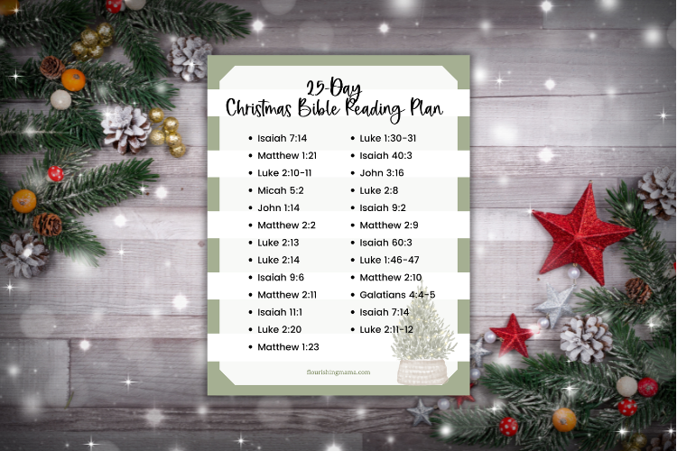 christmas bible reading plan